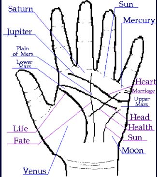 f_146_palmistry_2.jpg